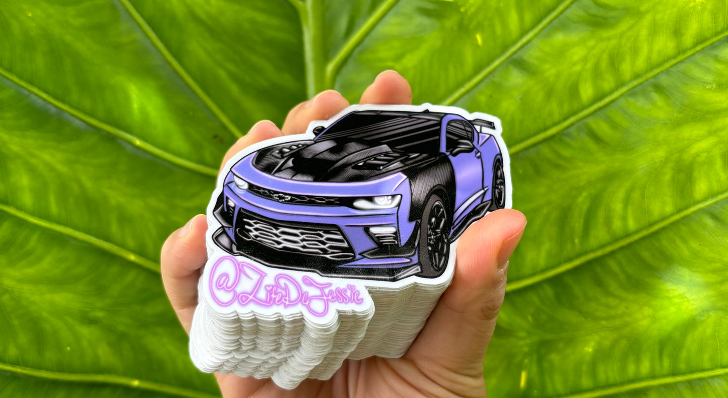 100 printed car/truck stickers